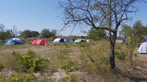 Imagen general del Camping Letea Himalaya. Foto 3