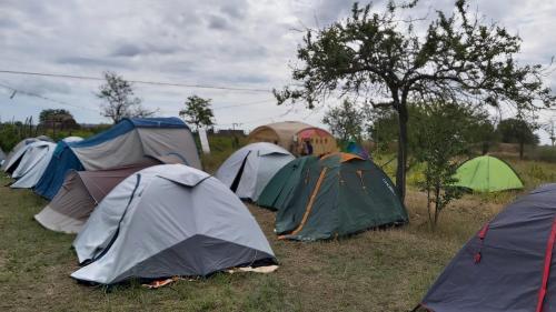 Imagen general del Camping Letea Himalaya. Foto 4