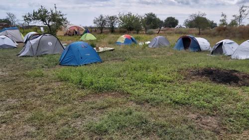 Imagen general del Camping Letea Himalaya. Foto 6