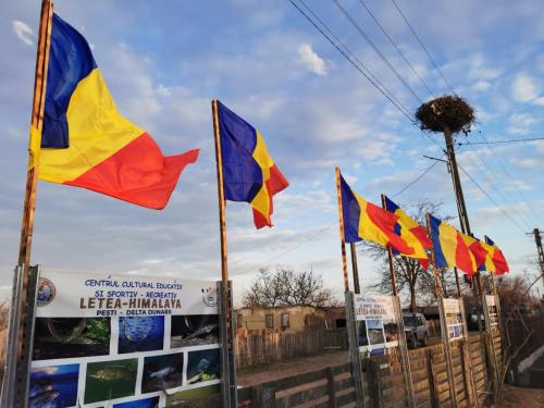 Imagen general del Camping Letea Himalaya. Foto 8