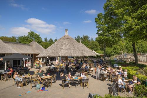 Imagen general del Camping Marvilla Parks Kaatsheuvel - Roan. Foto 8