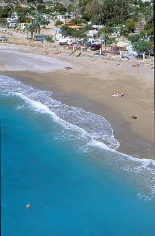 Imagen general del Camping Naturista El Port&uacute;s. Foto 3