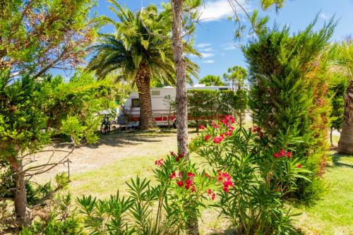 Imagen general del Camping Officiel Siblu Le Marisol. Foto 7