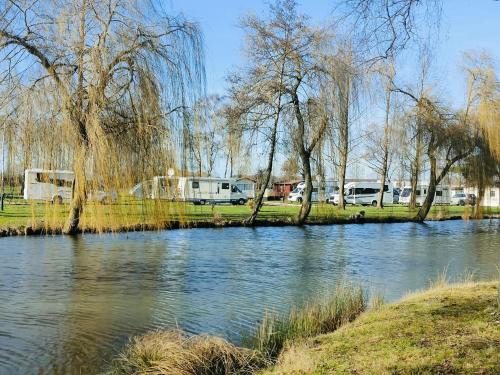 Imagen de la habitación del Camping Papillon Kinrooi - Pitches for Tents and Mobile Homes. Foto 7