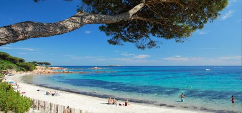 Imagen general del Camping Porto Vecchio. Foto 5