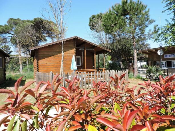 Imagen general del Camping Reno. Foto 25