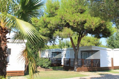 Imagen general del Camping Rodas. Foto 10