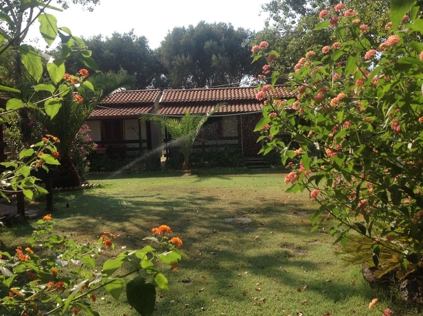 Imagen general del Camping Scogliera Azzurra. Foto 5