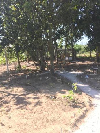 Imagen general del Camping Solar das Mares. Foto 1
