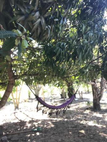 Imagen general del Camping Solar das Mares. Foto 2