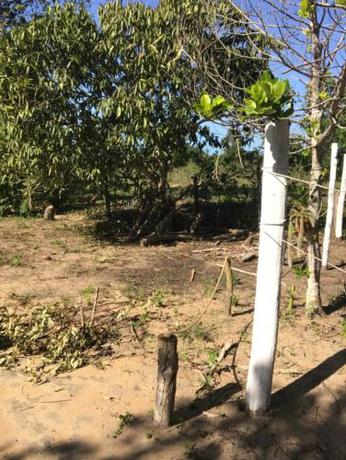 Imagen general del Camping Solar das Mares. Foto 4