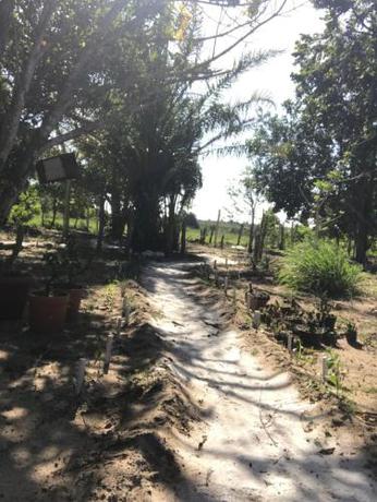 Imagen general del Camping Solar das Mares. Foto 6