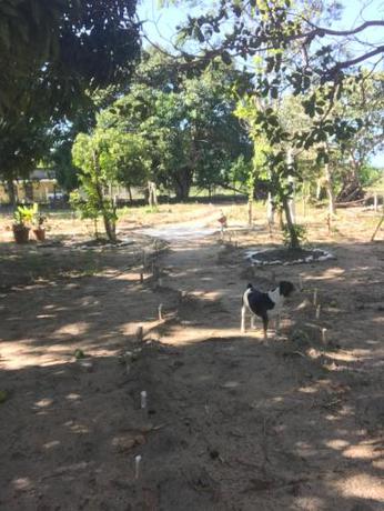 Imagen general del Camping Solar das Mares. Foto 7