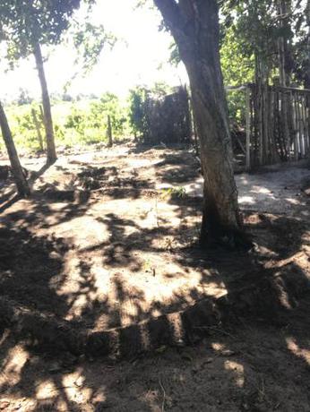 Imagen general del Camping Solar das Mares. Foto 9