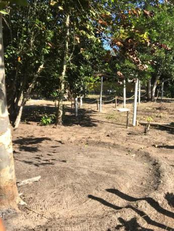 Imagen general del Camping Solar das Mares. Foto 10