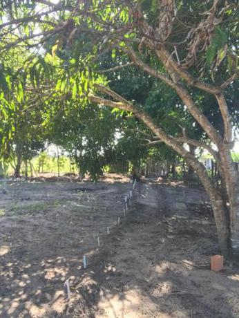 Imagen general del Camping Solar das Mares. Foto 11