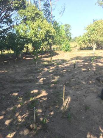 Imagen general del Camping Solar das Mares. Foto 12