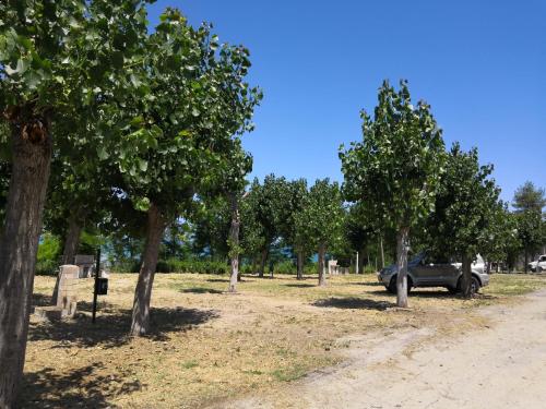 Imagen de la habitación del Camping Torre Mucchia. Foto 4