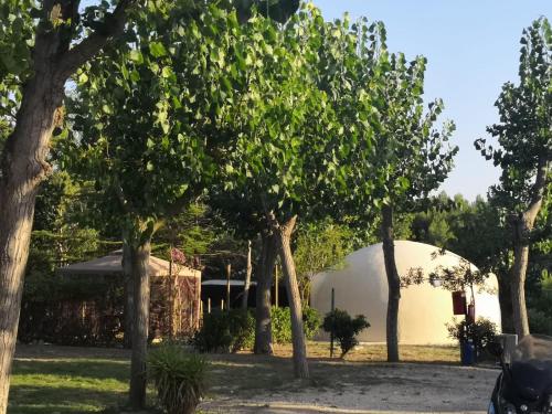 Imagen de la habitación del Camping Torre Mucchia. Foto 5