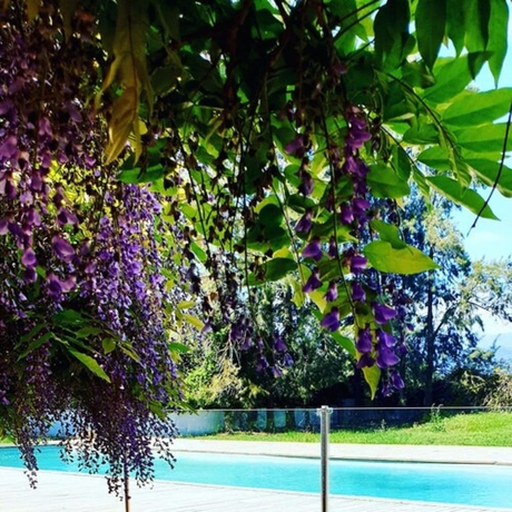 Imagen de la piscina del Camping U Casone. Foto 14