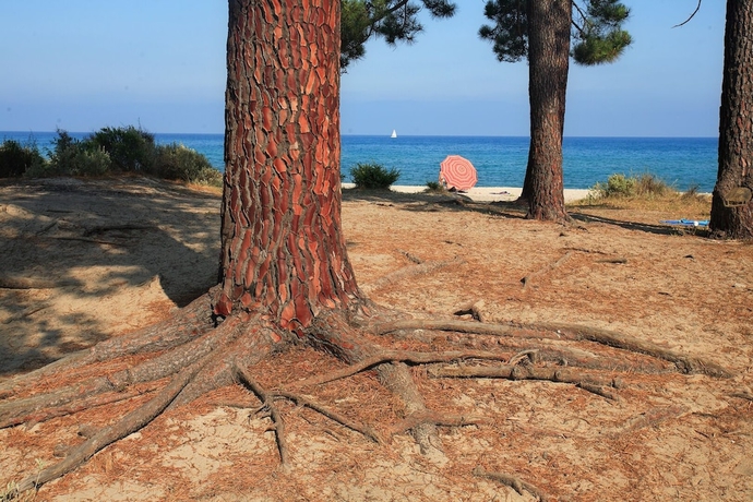 Imagen general del Camping U Casone. Foto 2