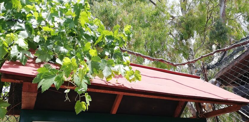 Imagen general del Camping Valle Dei Templi. Foto 10