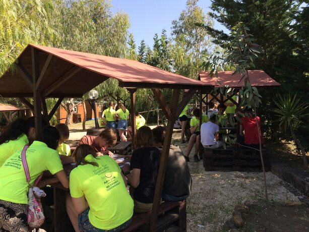 Imagen general del Camping Valle Dei Templi. Foto 15