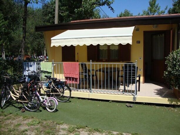 Imagen general del Camping Viareggio. Foto 16
