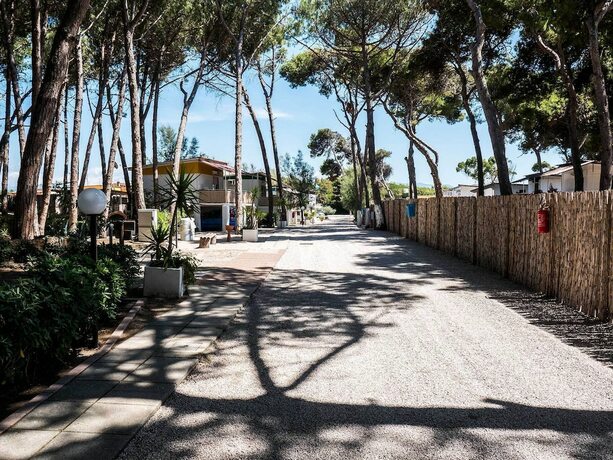 Imagen general del Camping Villaggio Golden Beach. Foto 14