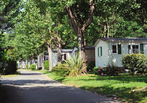 Imagen general del Camping ZELAIA. Foto 1