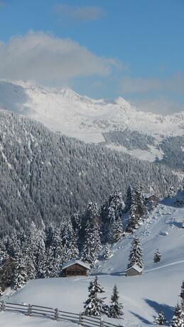 Imagen general del Camping Z&ouml;gghof. Foto 26