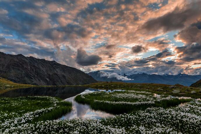 Imagen general del Camping Z&ouml;gghof. Foto 30