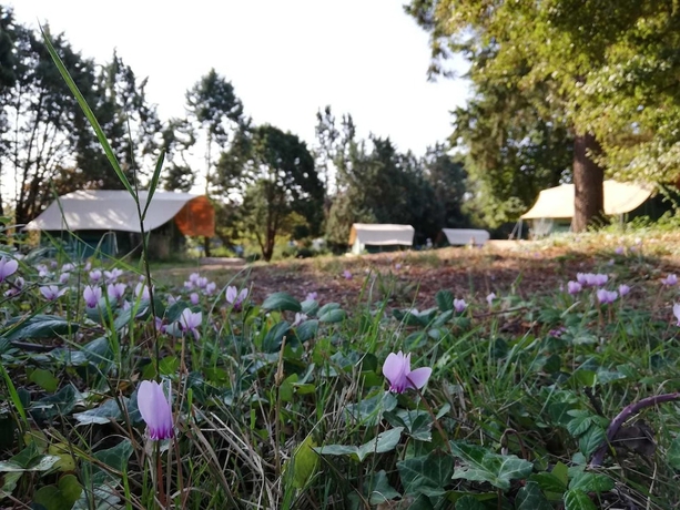 Imagen de los exteriores del Camping d\'Angers. Foto 11