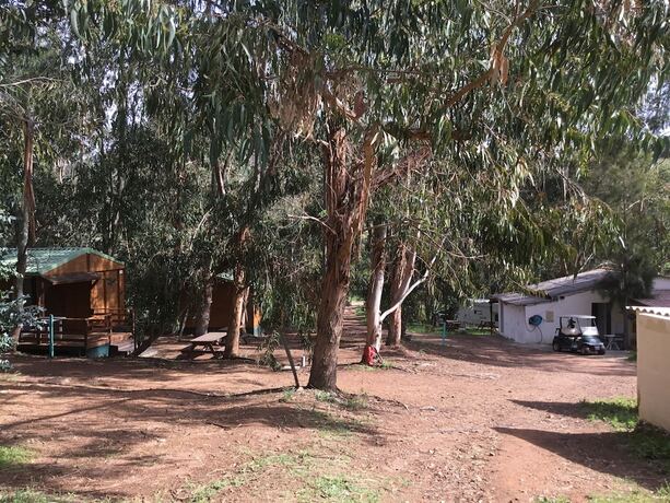 Imagen general del Camping du Soleil. Foto 13