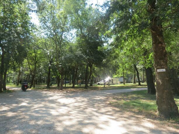 Imagen general del Camping en Ardeche Le Lion. Foto 21