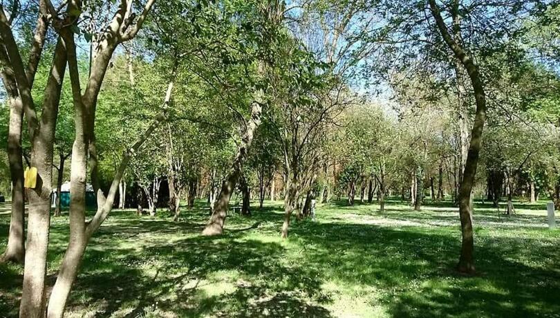 Imagen general del Camping en Ardeche Le Lion. Foto 25