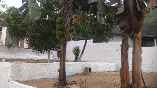 Imagen general del Camping estrela Ubatuba. Foto 14