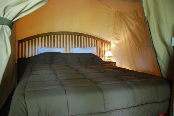 Imagen general del Camping les Tournesols. Foto 14