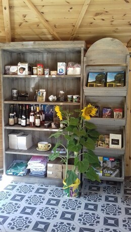 Imagen general del Camping les Tournesols. Foto 16