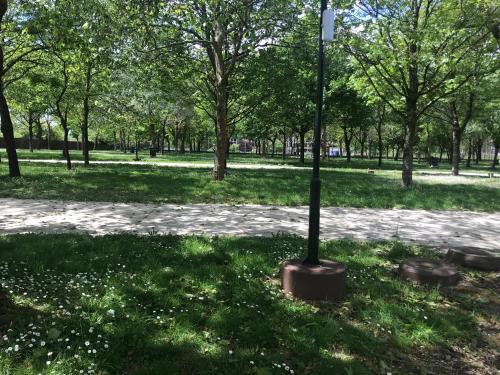 Imagen general del Camping peregrino San marcos. Foto 3