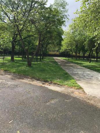 Imagen general del Camping peregrino San marcos. Foto 6