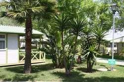 Imagen de los exteriores del Camping-Bungalows El Faro. Foto 8