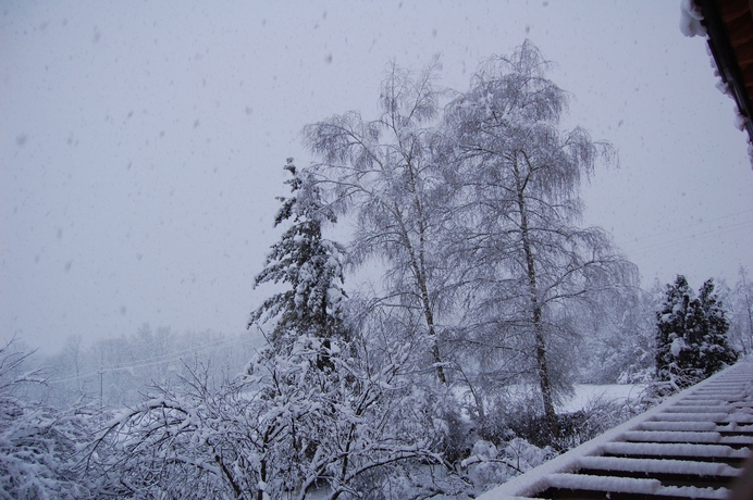 Imagen de los exteriores del Campo Di Cielo. Foto 12
