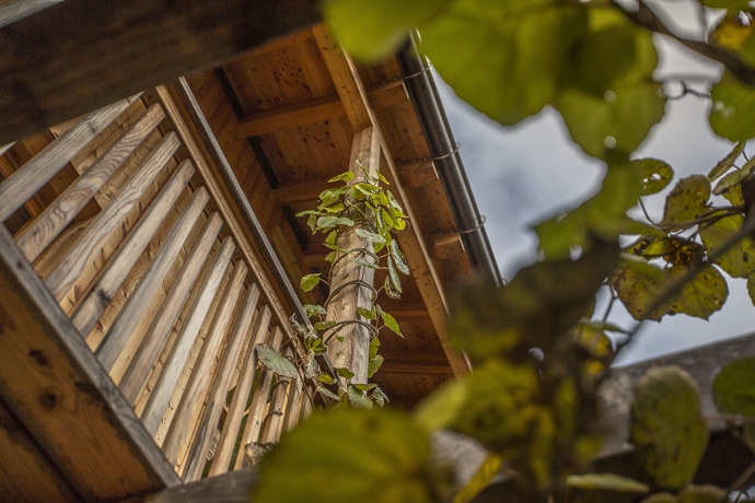 Imagen de los exteriores del Campo Di Cielo. Foto 15