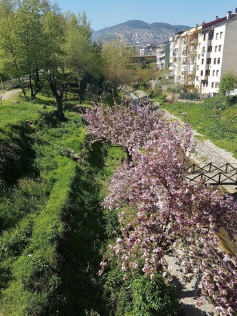 Imagen general del Can Hotel, BURSA. Foto 2