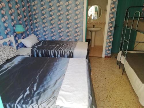 Imagen general del Can Pau Santa Parascheva, Llan&ccedil;&agrave;. Foto 15
