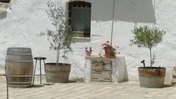 Imagen de los exteriores del Can Ramonet. Foto 7