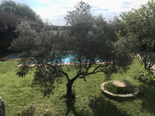 Imagen general del Can Traver de Besalú. Foto 8