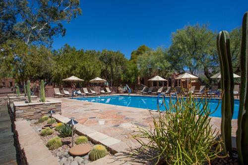 Imagen de la habitación del Canyon Ranch Tucson. Foto 6