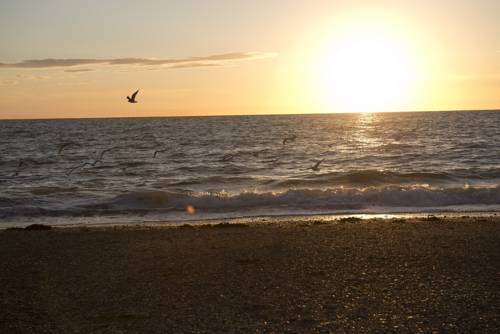 Imagen de la habitación del Cap France Le Home Du Cotentin. Foto 11